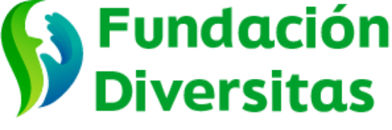 fundacion diversitas